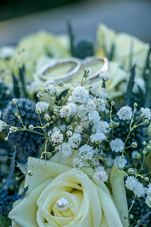 结婚红包怎么写格式图片 婚礼红包的传统格式写法