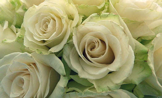 小型婚宴怎么办 小型的婚宴酒席要怎么办