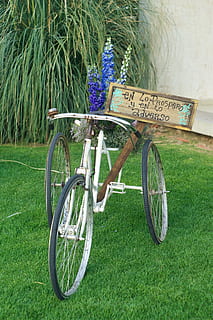 结婚的时候要说什么话 结婚要说什么吉祥话？