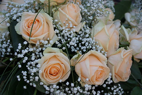 伴娘穿什么好深秋 深秋伴娘穿什么样的衣服？