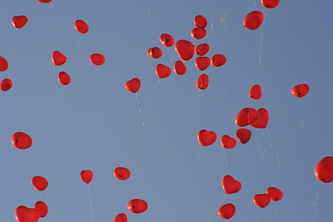 祝福语的喜帖怎么写 结婚请柬祝福语怎么写