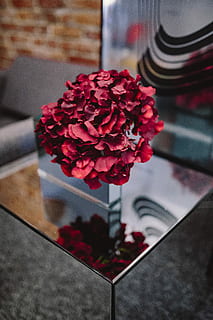 结婚都分什么婚 结婚纪念日分别是什么婚