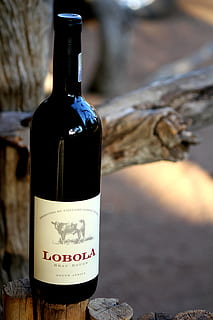 婚庆气拱门上应该写什么词 嫁女气模拱门上面应该写什么词语?