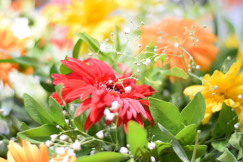 婚礼策划是婚礼的什么 婚礼策划是做什么的