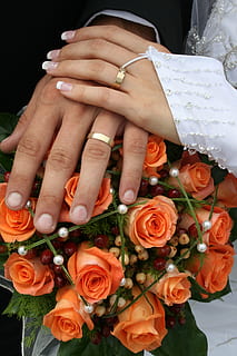 婚庆怎么请父母上场 婚礼父母上场司仪说什么