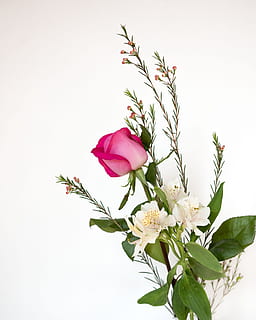 结婚都需要男方买什么 结婚男方需要准备什么？