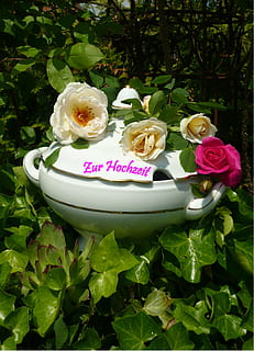 室外婚礼怎么样 户外婚礼 室内婚礼 哪个好