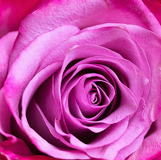 北京订婚需多少钱 北京订婚要给多少钱啊?