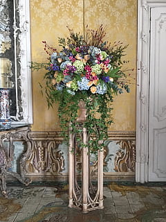 在红色的背包怎么写 一个红色的书包英语怎么说