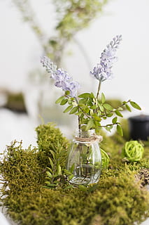 办个婚庆要多少钱 办个婚礼婚庆要多少钱?