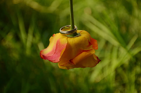 嫁女儿要准备什么嫁妆 女儿出嫁,要准备什么嫁妆呢?