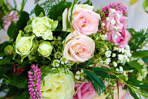 女方嫁人作为邻居该怎么办 自己家和女朋友家是邻居怎么办