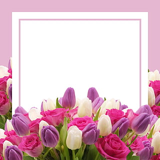 青岛定亲带什么 青岛市定婚与结婚各准备什么？