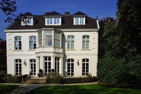 鲜花婚礼怎么配色