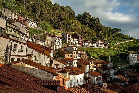 证婚人红包什么时候给 证婚人的红包什么时候给合适