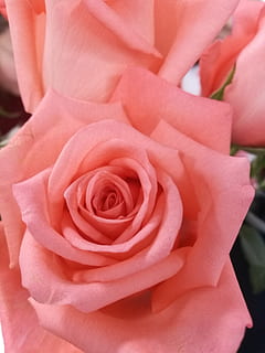 扯结婚证时穿什么衣服 领结婚证需要穿什么衣服