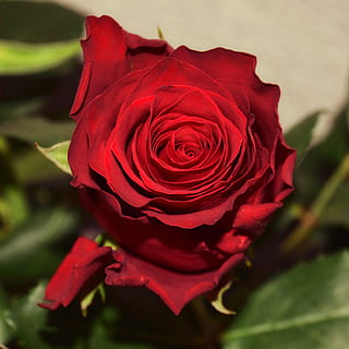 怎么样整伴郎 如何整伴郎团？