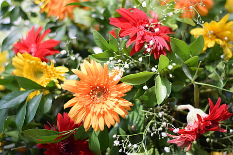 婚礼策划师前景怎么样 做一个婚礼策划师有前途吗?