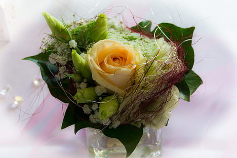 伴娘一般穿什么颜色 伴娘需要穿什么颜色的衣服?