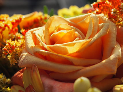 美泉宫婚宴怎么样 北京美泉宫饭店管理有限公司怎么样？