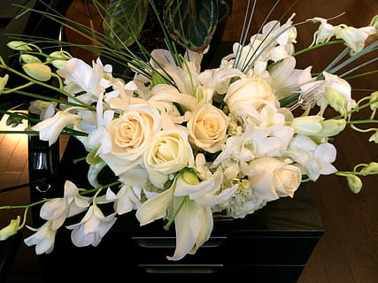 北京传媒婚礼学院怎么样 北京有传媒大学婚礼培训学校吗