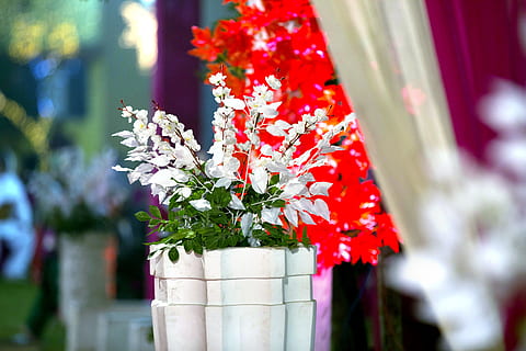 婚车上的花是什么花 婚车装饰一般用什么花