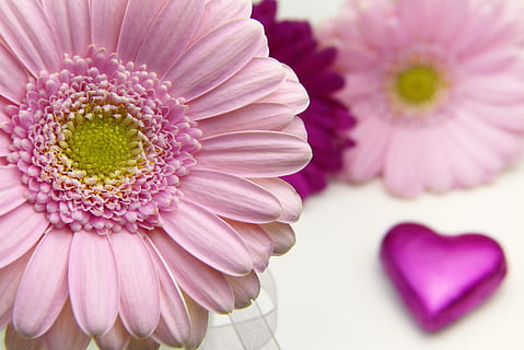 婚礼圆形仪式亭怎么做 举办婚礼中的仪式亭该怎么布置?