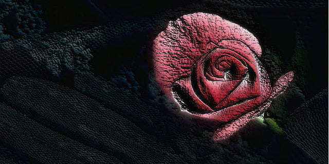 去教堂结婚有什么要求 去教堂结婚要什么条件呢?