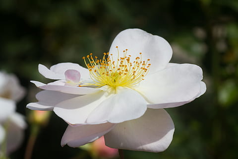 酒店婚礼什么配色好看 婚礼主色调应该如何选择