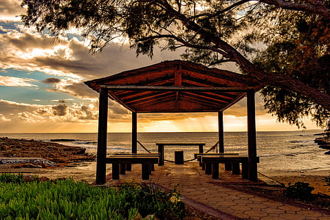 订婚的流程是什么 订婚的流程是什么样的??