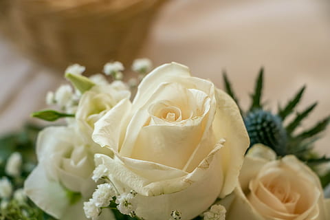 结婚短信怎么发 结婚信息怎么发短信