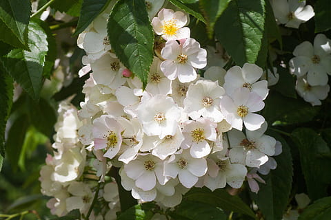 婚礼男士穿什么衣服好 男士参加朋友婚礼应该穿什么衣服