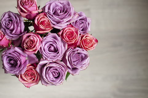 婚纱配什么好看的披肩 结婚礼服穿一个什么样子的披肩好呢