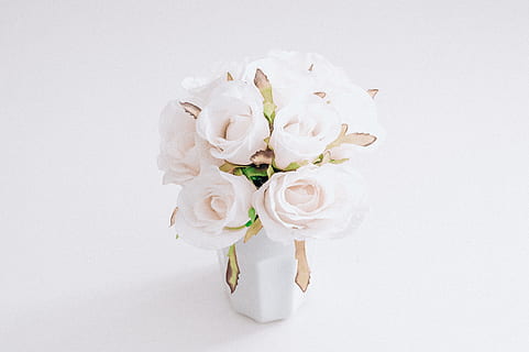 结婚司仪该怎么沟通 婚前与婚礼司仪沟通要注意什么