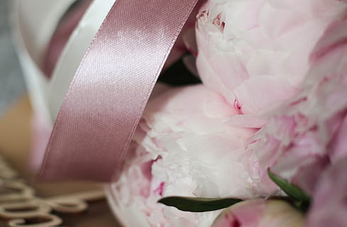 去登记结婚要注意什么手续 去民政局领结婚证需要什么手续