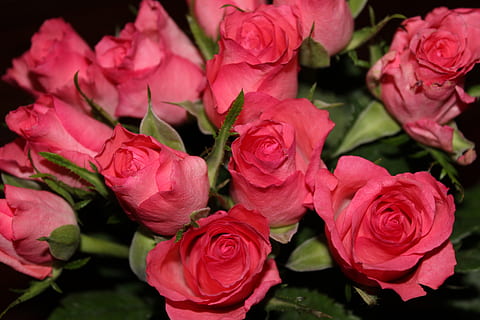 新人结婚红包怎么写 婚礼红包怎么写