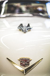 男方接亲带什么人 接亲的人有什么讲究