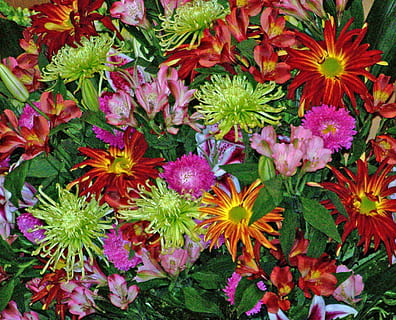 结婚敬茶怎么敬 婚礼敬茶流程，结婚敬茶要敬给哪些人