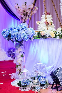 婚晏用什么红酒 婚宴上用什么红酒合适?