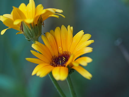 喜酒一般是什么汤 每次喝喜酒都有的汤叫什么