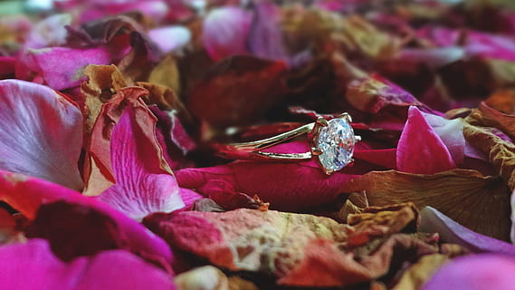 婚庆应注意什么 谈婚庆需要注意什么