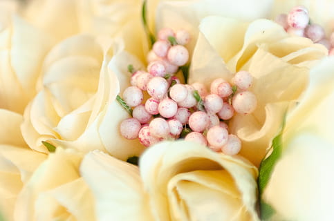 深圳结婚多少钱 在深圳举办一场婚礼要多少钱