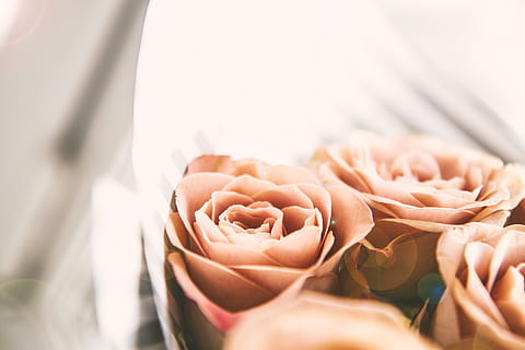 北京宴多少钱 在北京办婚宴吃满汉全席一桌多少钱？