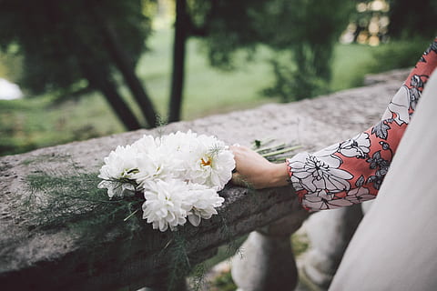 包红包封面怎么写 红包封面如何写