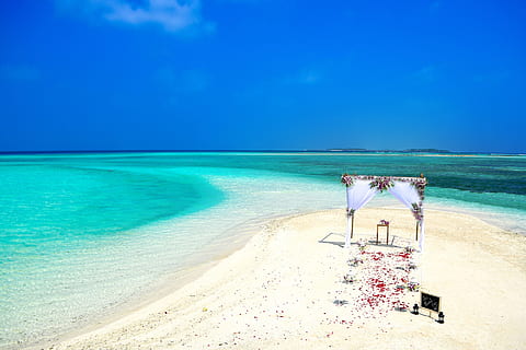 婚纱海景怎么拍 海景婚纱拍摄技巧有哪些?