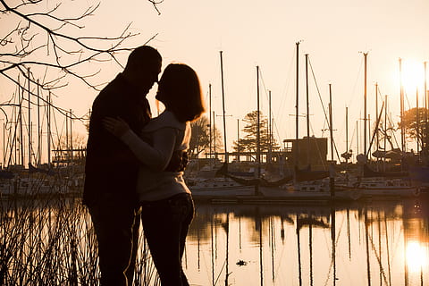 婚礼上的纸花怎么做 婚礼上的大型纸花是什么做的?如图