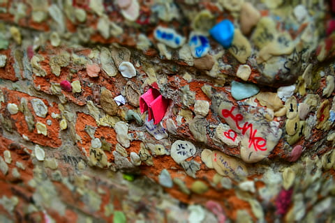 婚礼开场用什么音乐 婚礼开场音乐都如何选择？