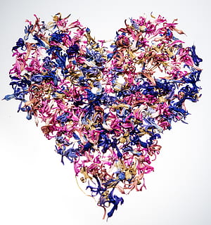 婚庆都要注意什么条件 谈婚庆需要注意什么