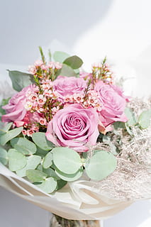 主持人怎么介绍主婚人 司仪:是主婚人介绍人吗?