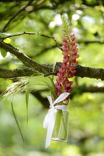 开个婚礼饭店用多少钱 在酒店办一个婚礼大概需要多少钱？